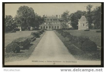 (45) BRIARE Château De Beauvoir La Grande Avenue - Briare