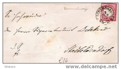 BRS019 / Eschershausen 1873, Braunschweig-Stempel - Cartas & Documentos