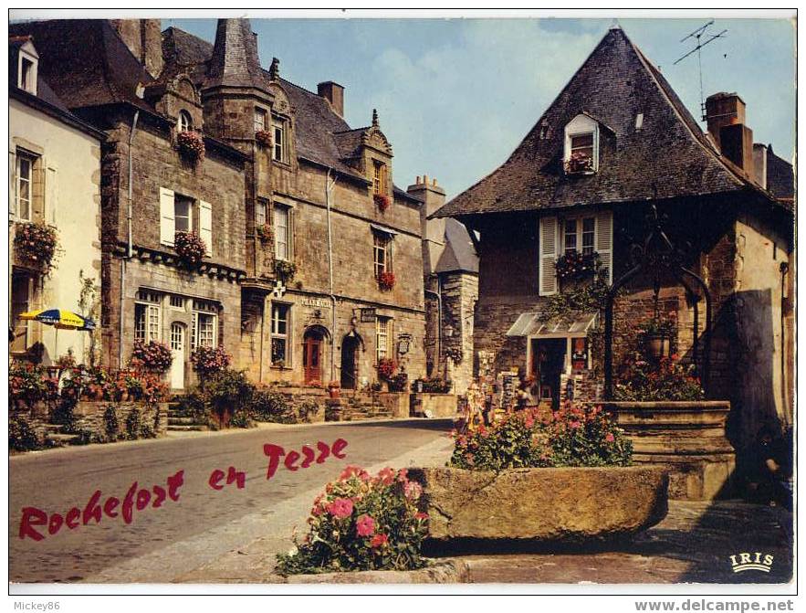 ROCHEFORT EN TERRE--1974--Place Du Puits,cm N° 1572 Par CAP - Rochefort En Terre