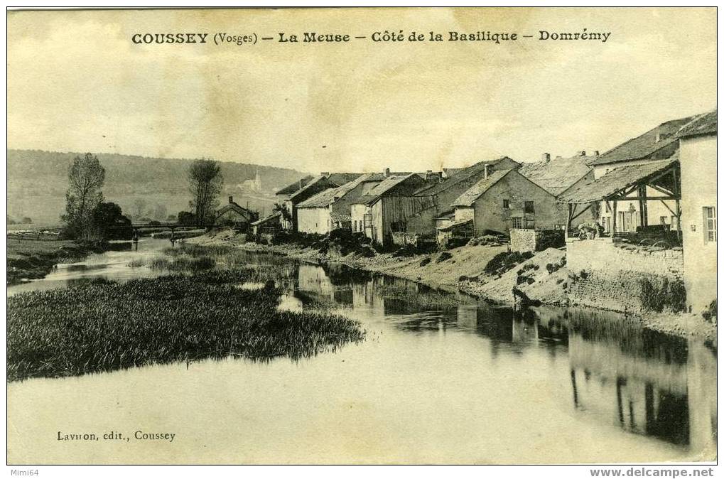 88 . COUSSEY .  LA MEUSE - COTE DE LA BASILIQUE - DOMREMY . - Coussey