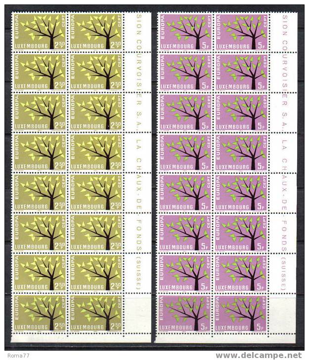 IX60 - LUSSEMBURGO , Europa 1962 : Blocco (piegato) Di 16 Esemplari  *** - Unused Stamps