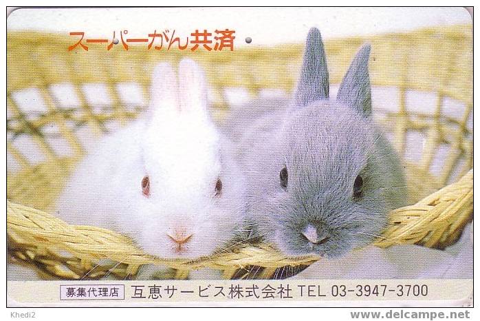 Télécarte JAPON - ANIMAL- LAPIN - RABBIT JAPAN Phonecard- Kaninchen Tier TK Konijn Conejo - 07 - Kaninchen