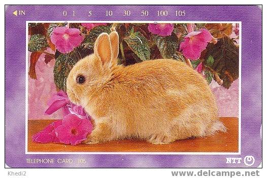 Télécarte Japon / 231-291 - Animal - LAPIN  - RABBIT Japan Phonecard - KANINCHEN Telefonkarte - 10 - Conejos