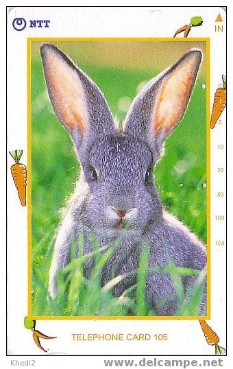 Télécarte Japon / NTT 231-265 - LAPIN - RABBIT Japan Phonecard - KANINCHEN - KONIJN - CONEJO - 12 - Rabbits