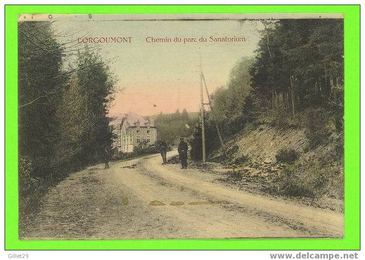 L´ORGOUMONT, BELGIQUE - CHEMIN ANIMÉE DU PARC DU SANATORIUM - CIRCULÉE EN 1920 - EMILE DUMONT. ÉDIT - - Stoumont