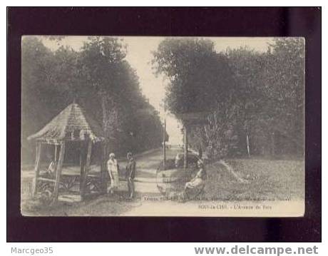 80 Bois De Cise L'avenue Du Bois édit.lévêque Animée Belle Carte - Bois-de-Cise