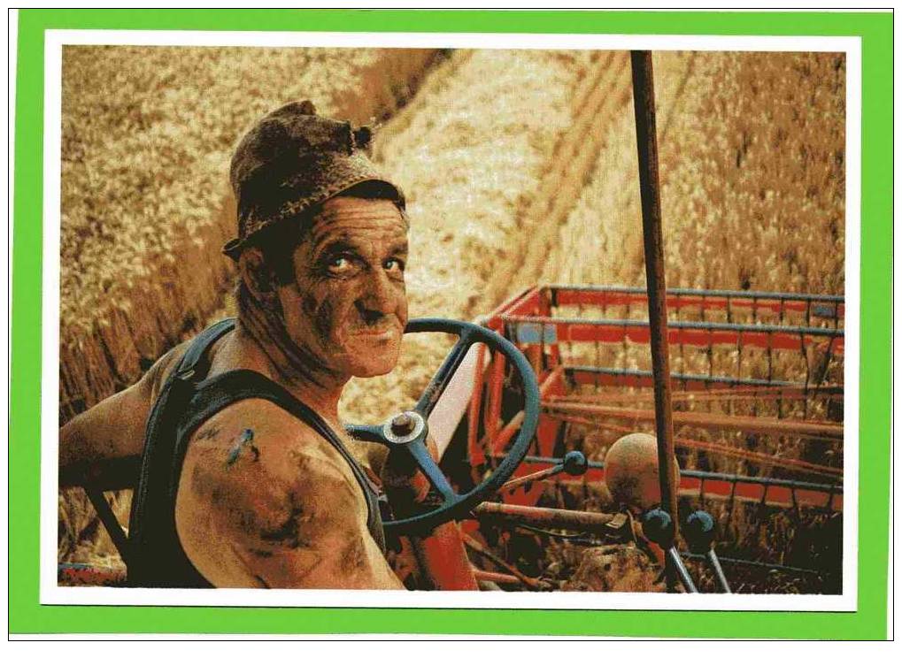 GAUDREVILLE 28 MOISSON DU BLE SUR MASSEY FERGUSON 1991 CLICHE M. LAURENT CARTE EN SUPERBE ETAT - Culturas