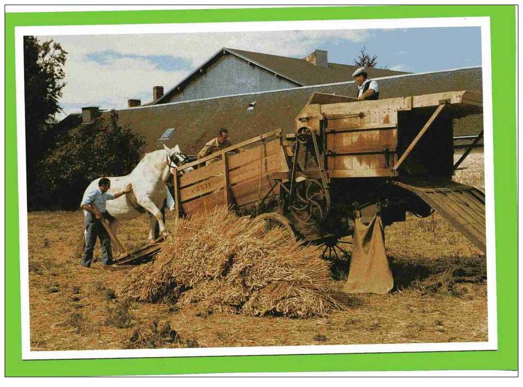 FAINS LA FOLIE 28 TREPIGNEUSE A LA FETE DES BATTAGES 1989 CLICHE LE POUL CARTE EN SUPERBE ETAT - Landwirtschaftl. Anbau