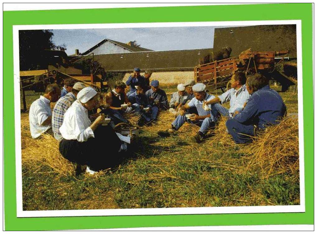 FAINS LA FOLIE 1993 FETE DE LA MOISSON LA MIETTEE PHOTO GERARD ROUHAULT  CARTE EN SUPERBE ETAT - Landwirtschaftl. Anbau