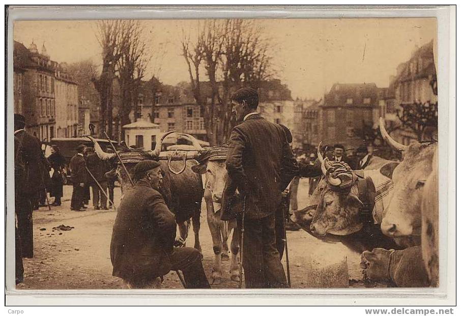 OLORON SAINTE MARIE - Etude Sur Le Champ De Foire. - Oloron Sainte Marie