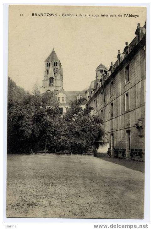 24 - BAMBOUS DANS LA COUR INTERIEUR DE L ABBAYE DE BRANTOME - Brantome