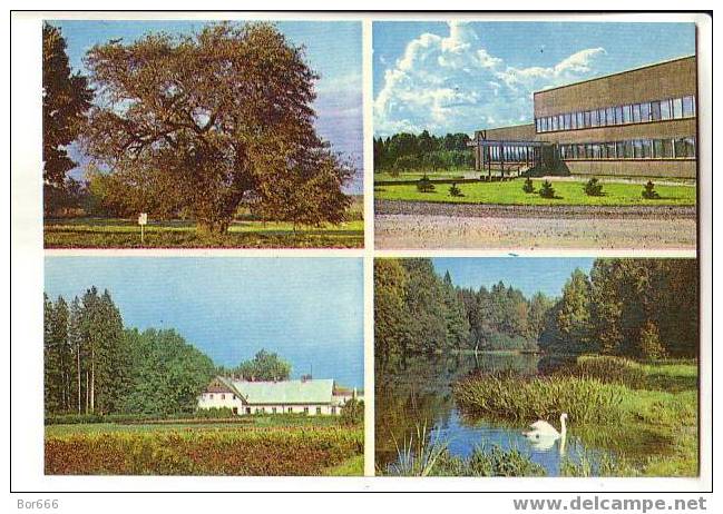GOOD ESTONIA Postcard 1982 - VILJANDIMAA - Polli Experimental Centre (mint) - Cultures