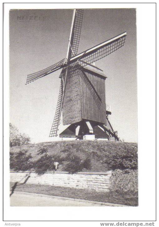 HERZELE Standerdmolen Molen Ongelopen - Herzele