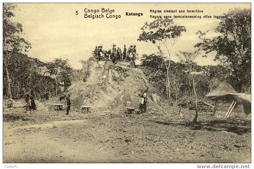 CONGO BELGE - KATANGA - Nègres Nivelant Une Termitière - Congo Belge