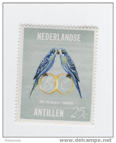 Antille Olandesi - Serie Completa Nuova: Pappagalli - Parrots