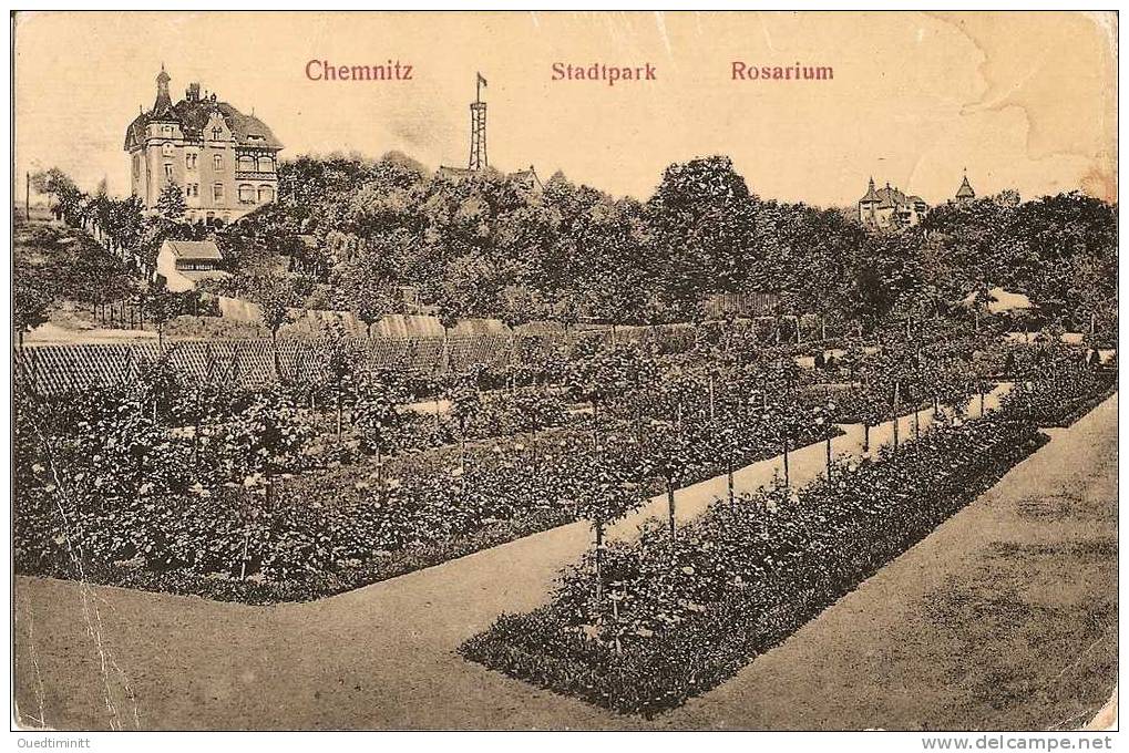 Chemnitz.Stadtpark.Rosarium/roseraie.Belle  Cpa 1907. - Chemnitz
