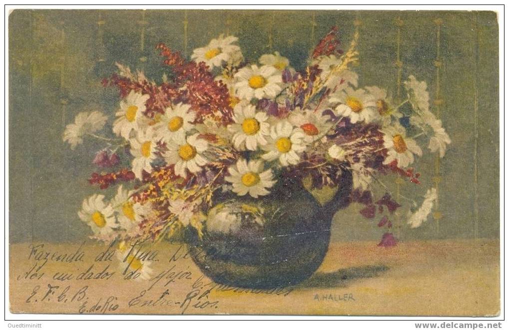 Bouquet De Marguerites. - Fleurs