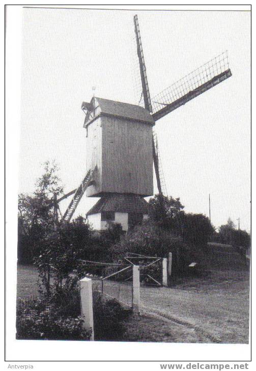 KNESSELARE Pietendriesmolen  Ongelopen - Knesselare