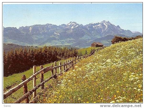 IM APPENZELLERLAND - Appenzell