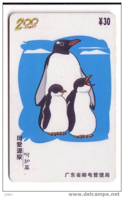 PENGUIN ( China Card )*** Pingouin - Manchot - Pinguin - Pingüino - Pinguino - Penguins - Pingouins - Polar - Polaire * - Pinguïns & Vetganzen