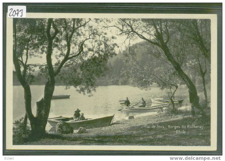 DISTRICT DE LA VALLEE DE JOUX  ///  LAC DE JOUX - BERGES DU ROCHERAY - TTB - Roche