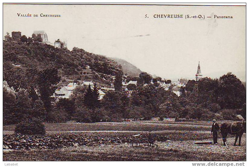 CHEVREUSE N° 5 PANORAMA - Chevreuse