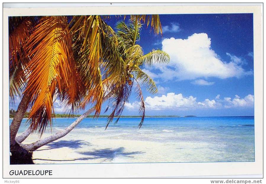 Guadeloupe--Plage,cm N°244 éd "Le Photographe"Photo Ph.Giraud - Autres & Non Classés