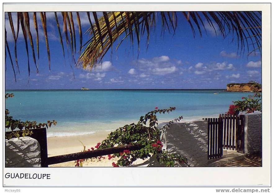 Guadeloupe--La BAIE,cm N°WA 628 éd "Le Photographe"Photo J.Ducange TOP --AQUARUPELLA - Autres & Non Classés