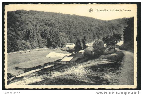 (7940d) - Florenville - Le Vallon De Chamleux - Florenville