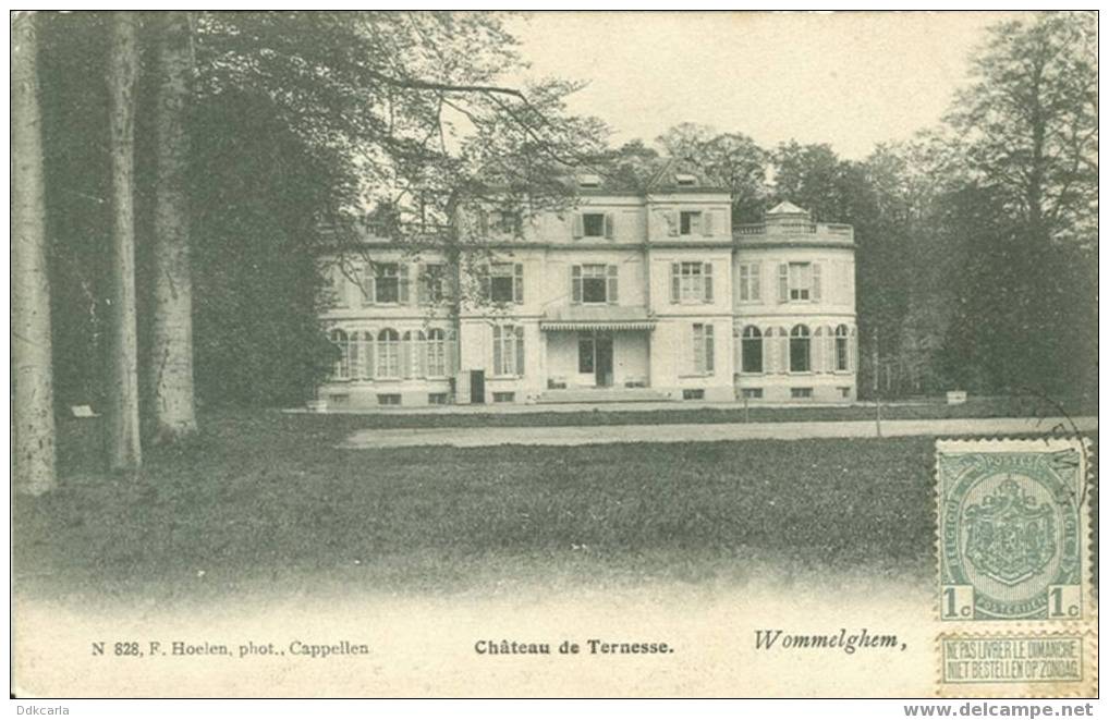 Wommelghem - Château De Ternesse - Uitg. F. Hoelen N° 828 - Wommelgem
