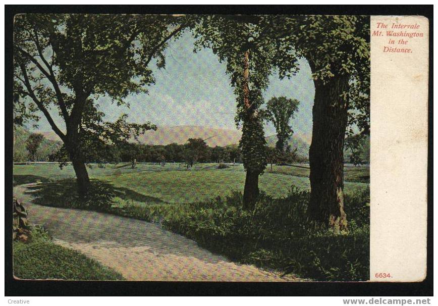 THE INTERVALE  *MT.WASHINGTON IN THE DISTANCE - White Mountains