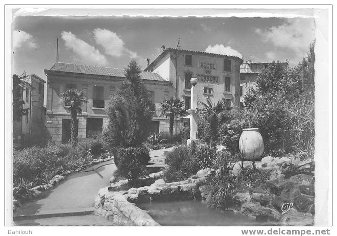 04 - MANOSQUE - Le Jardin Du Terreau - CPSM 150 X 105 Mm Reeal Photo - Manosque