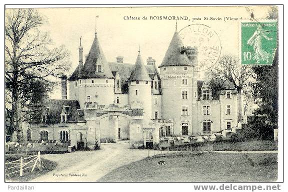 86. CHÂTEAU DE BOISMORAND,PRES ST-SAVIN.  GROS PLAN. - Saint Savin