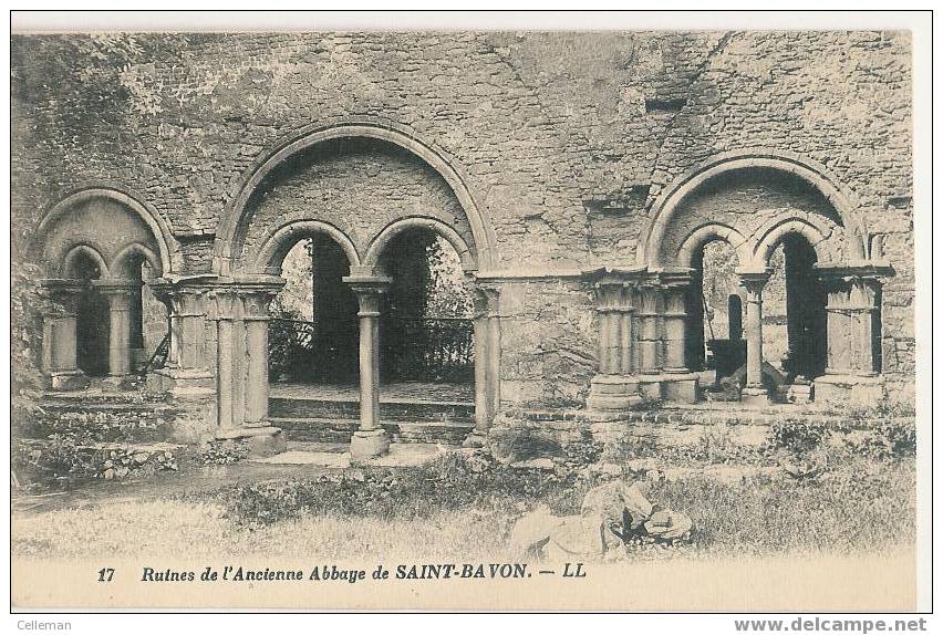 Saint Bavon Abbaye Ruines (f664) - Autres & Non Classés