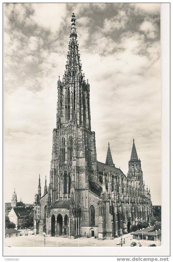 Munster (y615) - Münster