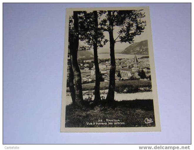 (343) -1- Carte Postale Sur Nantua - Nantua