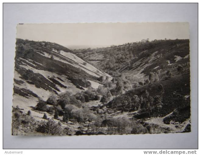 St Leonard Des Bois ,La Vallée De La Misere. C.p.photo 14X9 - Saint Leonard Des Bois