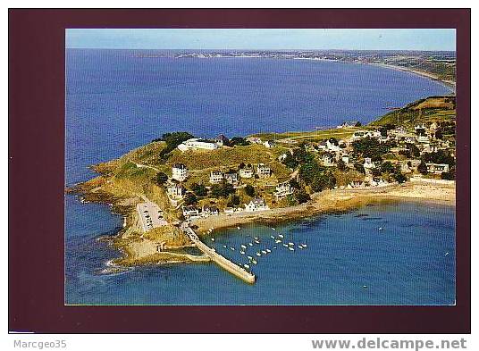 16350 Le Val André Le Port & La Pointe De Piégu N°3 édit.Artaud Belle Cpsm - Pléneuf-Val-André