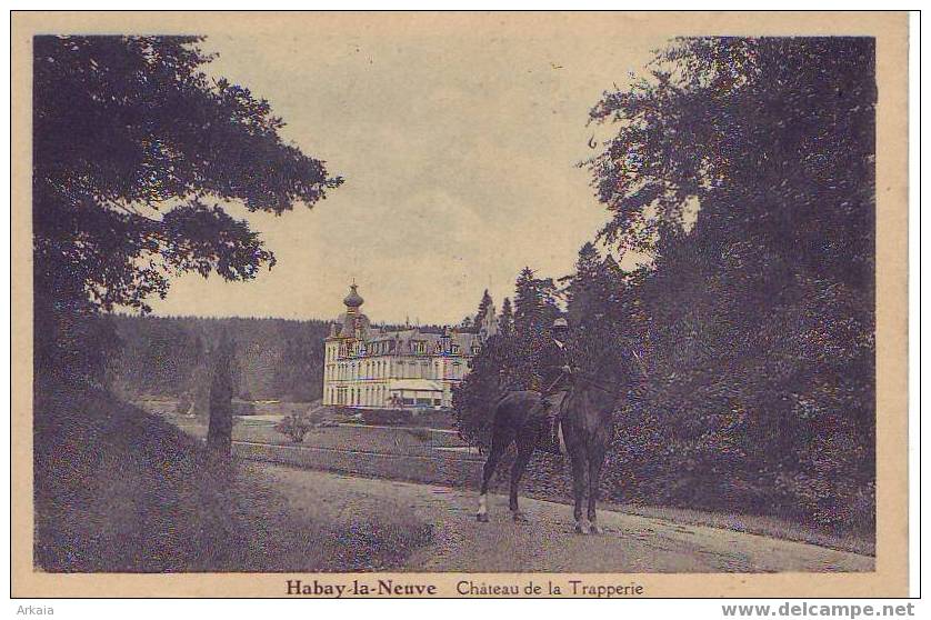 HABAY LA NEUVE = Château De La Trapperie - Animée  (vierge) - Habay