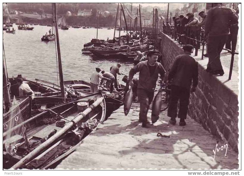 Douarnenez Arrivage De Thons Bateaux De Pêche - Tréboul