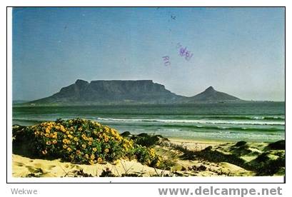 SA-R057/ SÜDAFRIKA -  1982, Werbung Cape Naturpark Auf Blumenmarken - Brieven En Documenten