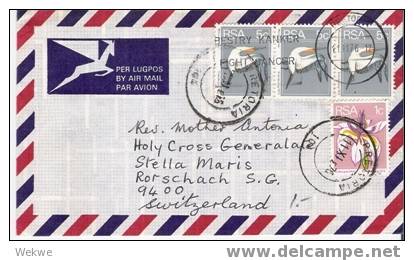 SA-R61/  SÜDAFRIKA - Bedarfsbrief 1976 Mit Vogel Und Blumenmarke - Cartas & Documentos