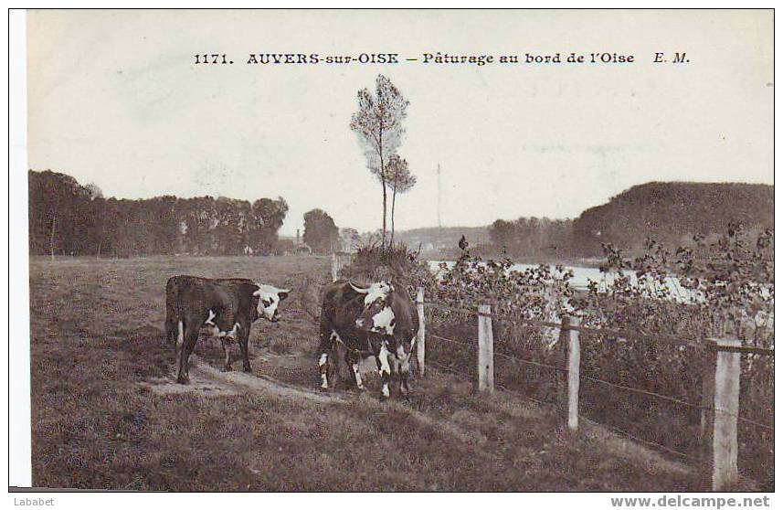 Auvers Sur Oise  N° 1171 Paturages - Auvers Sur Oise