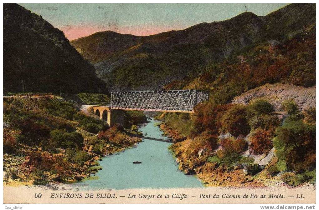 ALGERIE BLIDA (environs) Gorges De La Chiffa, Pont Chemin De Fer De Médéa, Colorisée, Ed LL 50, 1920 - Blida