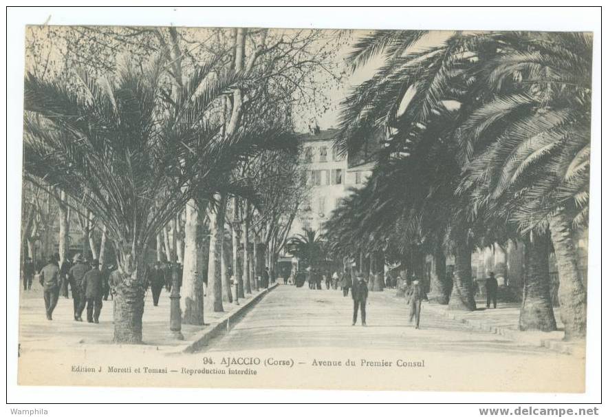 AJACCIO - La Parata Et Les Iles Sanguinaires - Ajaccio