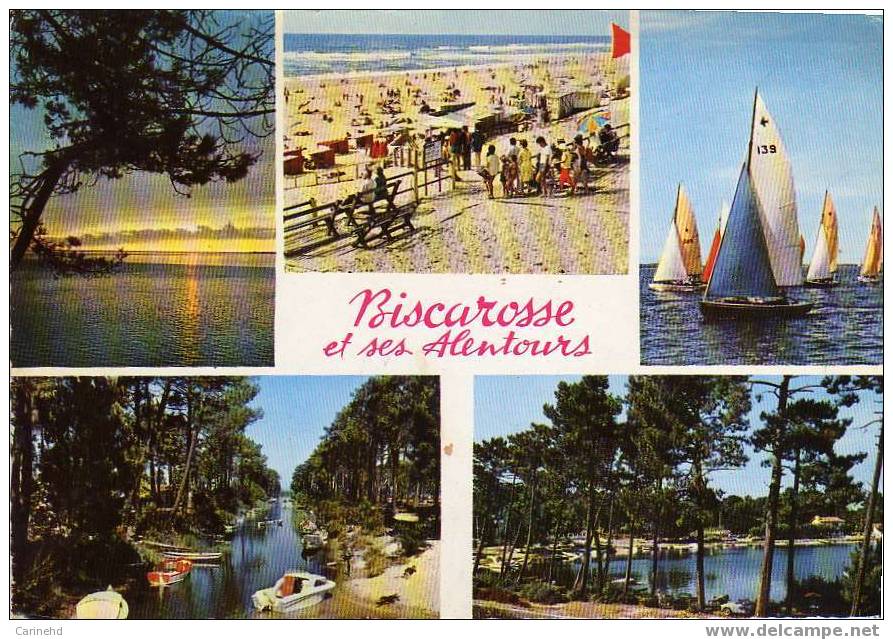 BISCAROSSE ET SES ALENTOURS - Biscarrosse