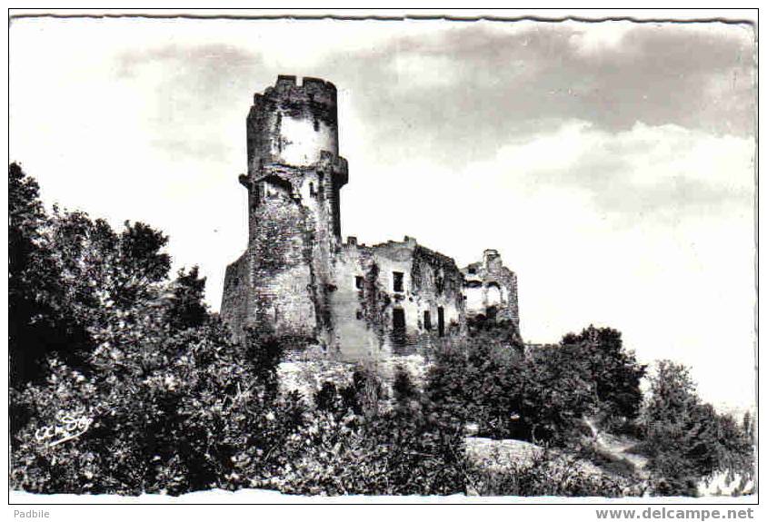 Carte Postale 63.  Tournoel  Le Chateau - Volvic