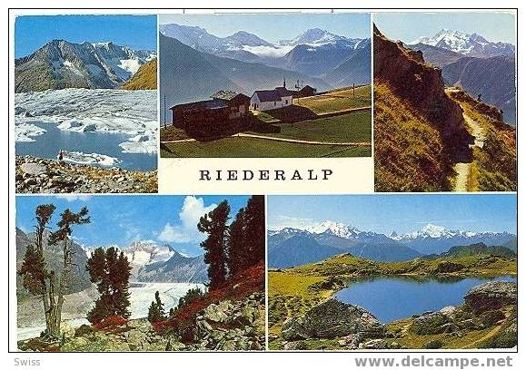 RIEDERALP - Riederalp
