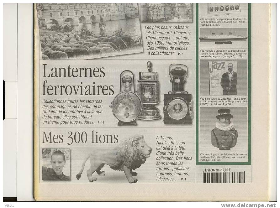 LA VIE DU COLLECTIONNEUR, N° 247, Novembre 1998 : Châteaux De La Loire En Cartes Postales, Lanternes Ferroviaires, Lion - Antichità & Collezioni