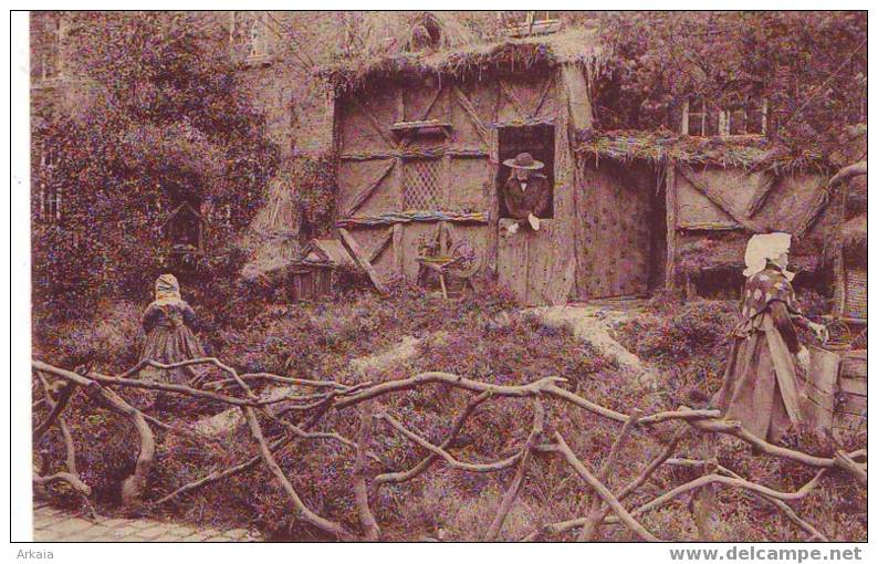 HASSELT = Décorations à L'occasion Des Fêtes - Septennales De N.-D. Virga-Jesse (vierge) - Hasselt